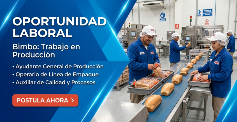 Lee más sobre el artículo Bimbo: Trabajo en Producción